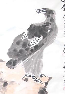 雄鷹圖片