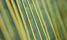 格調(diào)-創(chuàng)意的源泉圖片