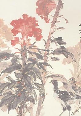雞冠花圖片