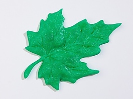 樹(shù)葉