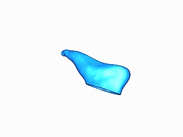 腳掃描模型