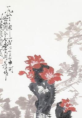 仙人掌图片
