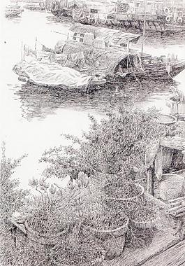 岸邊圖片