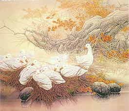 曉露圖片