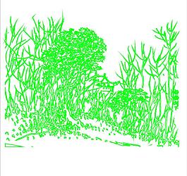 山水風(fēng)景圖片