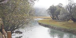 風(fēng)景圖片