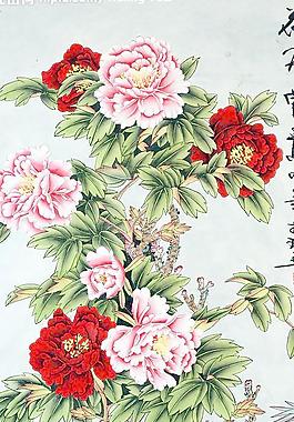 花開富貴圖片