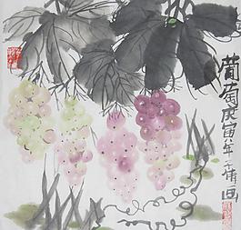 葡萄圖片