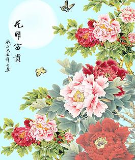牡丹图片