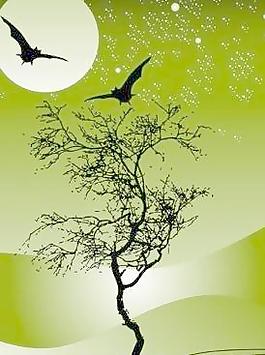 自然樹月亮拍夜景的明星