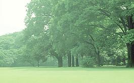 森林公園圖片