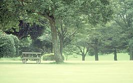森林公園圖片