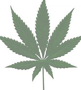 大麻葉剪貼畫