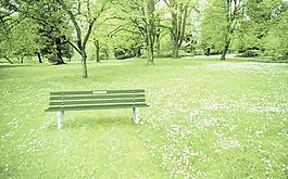 森林公園圖片