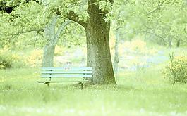 森林公園圖片