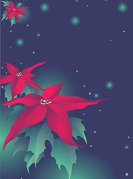精美紅色花朵圖片