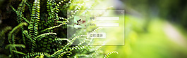 透明登錄界面
