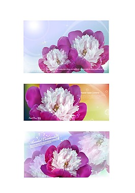 妖嬈紫花