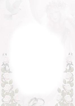 淡雅歐式風(fēng)格婚紗相框04圖片