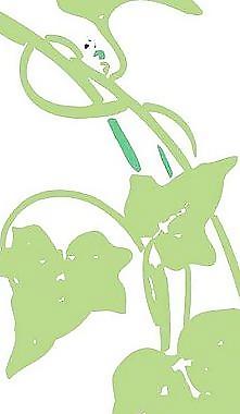 歐式圖案花紋矢量圖庫圖片