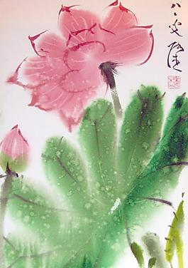 水墨荷花圖片