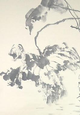 水墨荷花图片