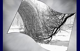 雪色圖片