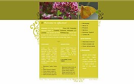 蝶戀花主題網(wǎng)頁模板