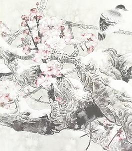 飄雪圖片