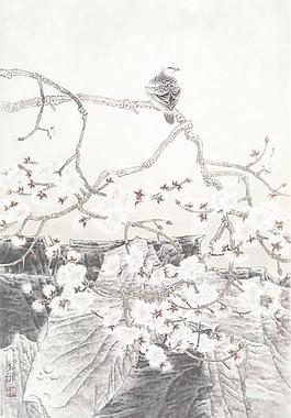 青岩飞歌图片