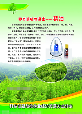 植物精油模板下載
