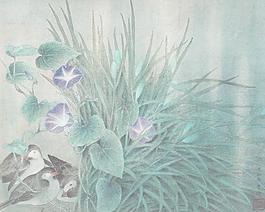 晨曉圖片