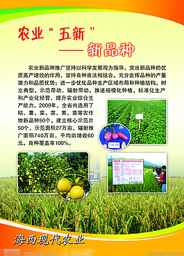 福州6·18項目成果交易會
