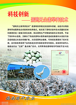 畜牧旱鴨技術展板下載