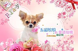 情人節(jié)海報(bào)圖片