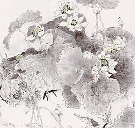 池塘荷花圖片
