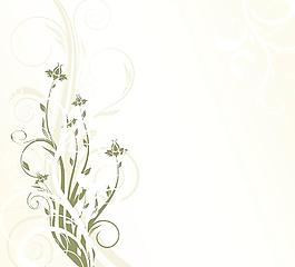 花邊圖片