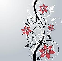 花邊圖片