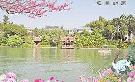 风景如画图片