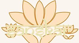 蓮花圖片