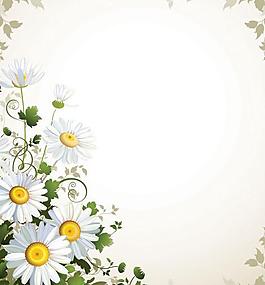 菊花雛菊花紋邊框圖片