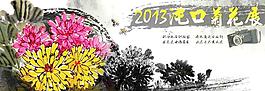 菊花展图片