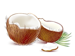 椰子