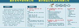 招聘简章图片