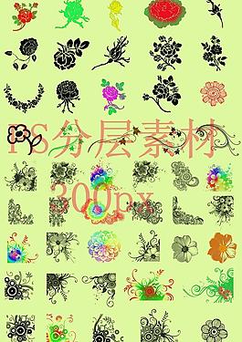 花紋圖片