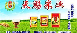 天賜米圖片