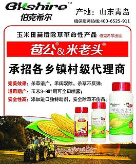 苞公米老頭圖片