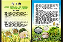 鄉下米傳單圖片
