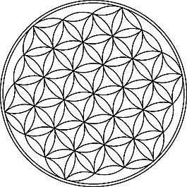 carlotheman生命之花的象征藝術(shù)剪輯