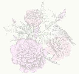 鮮花小鳥(niǎo)圖片